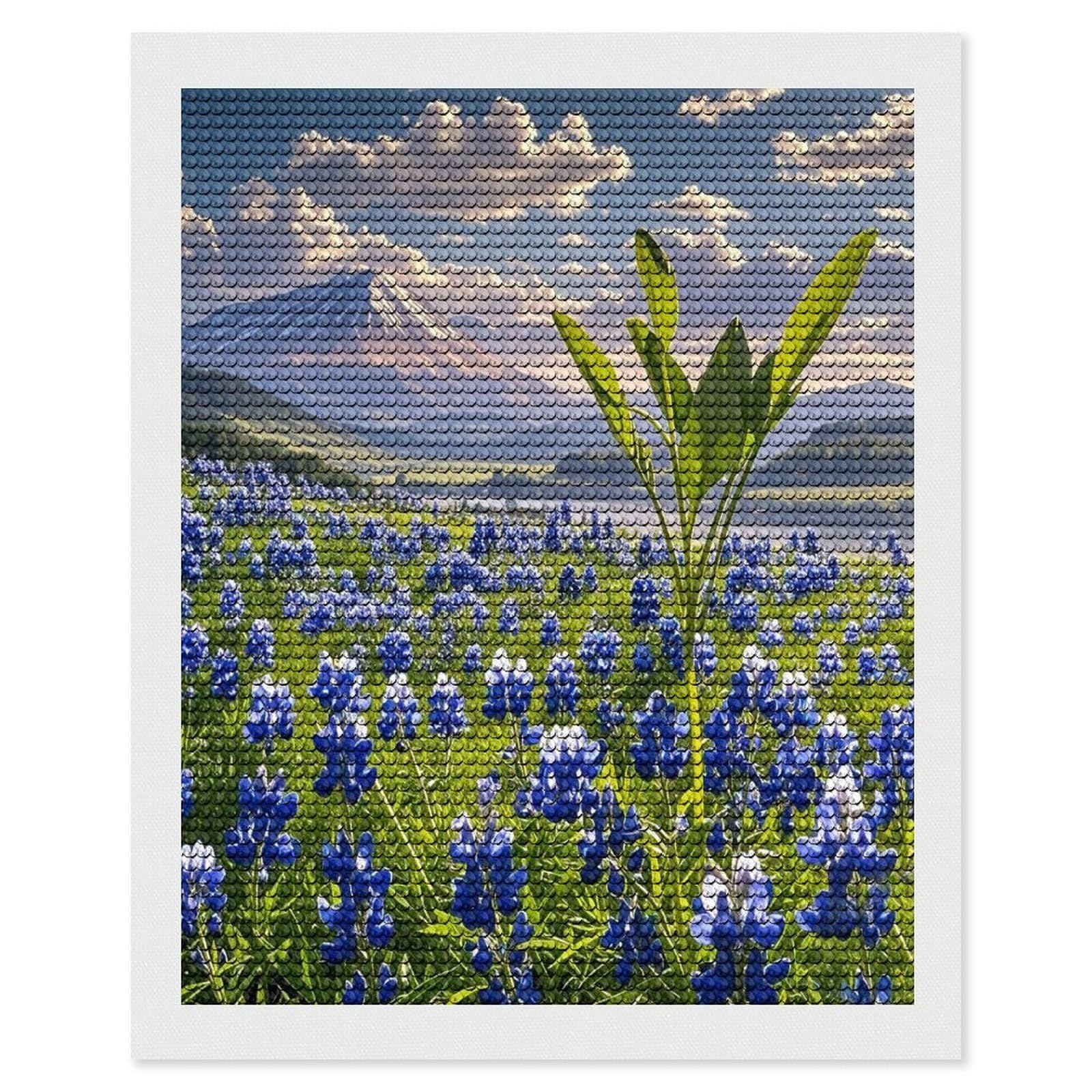 FekiLoot Bluebonnets Scenery Diamond Painting Kits for Adults Full Round Drill Diamond Art Kits for Beginners 5D DIY Diamond Dots Paintings Diamonds Pictures Gem Art Home Wall Decor 16"x20"