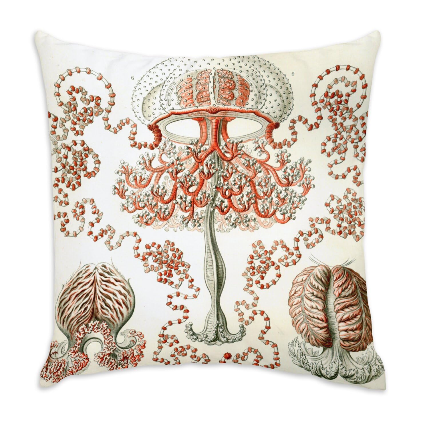 Coussin méduse en velours blanc pour sublimer le canapé de votre salon marin