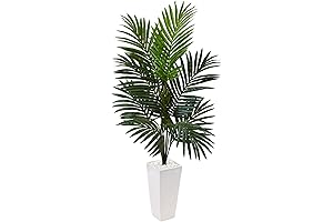 Nearly Natural Kentia Palm: A Verdant Oasis for Your Home