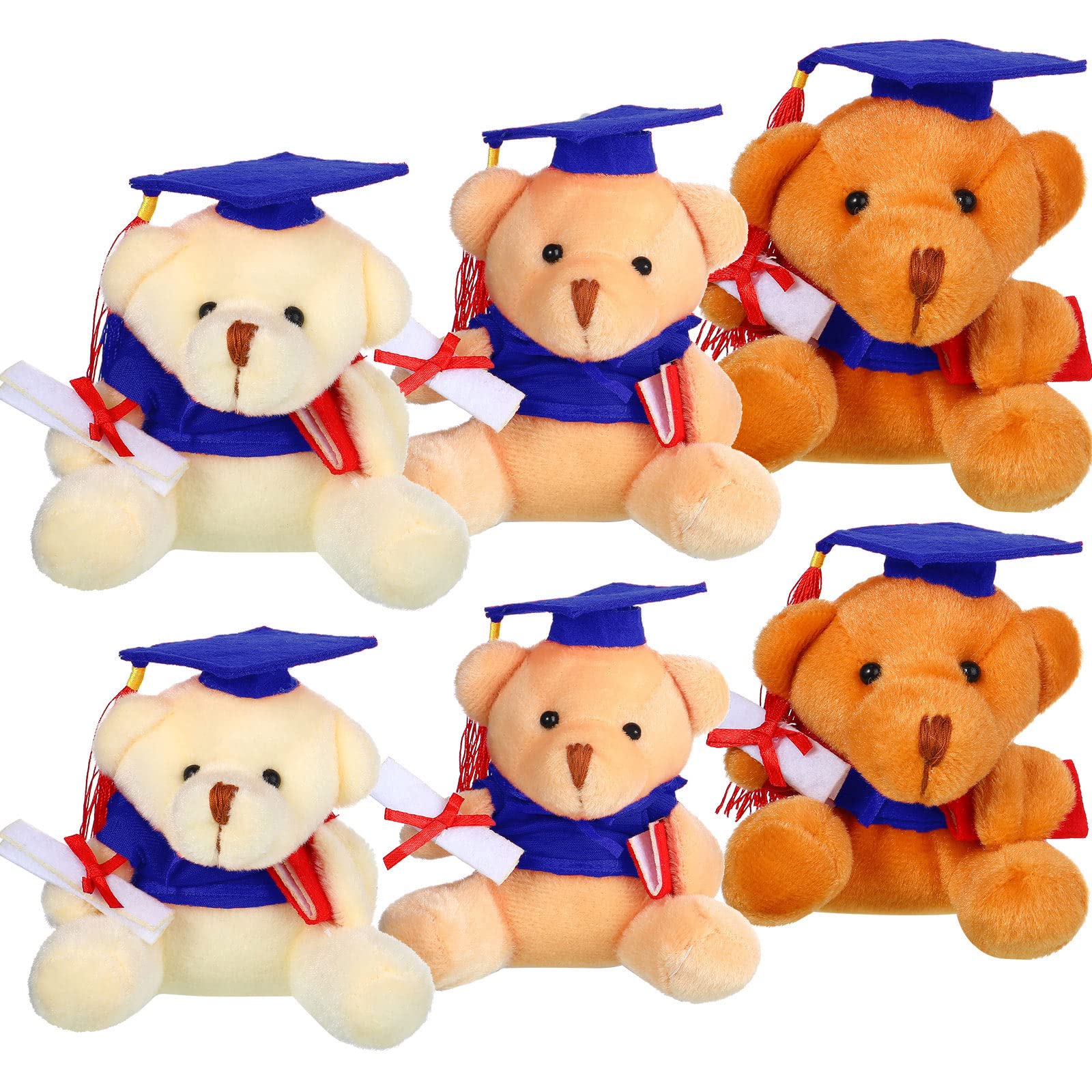 small graduation bear