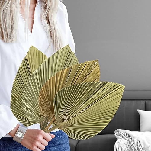 Miniatura 9 de 4 hojas de palma secas recortadas naturales grandes de 17 x 10 pulgadas, lanza de palma seca real para estética, decoración de boda bohemia,
