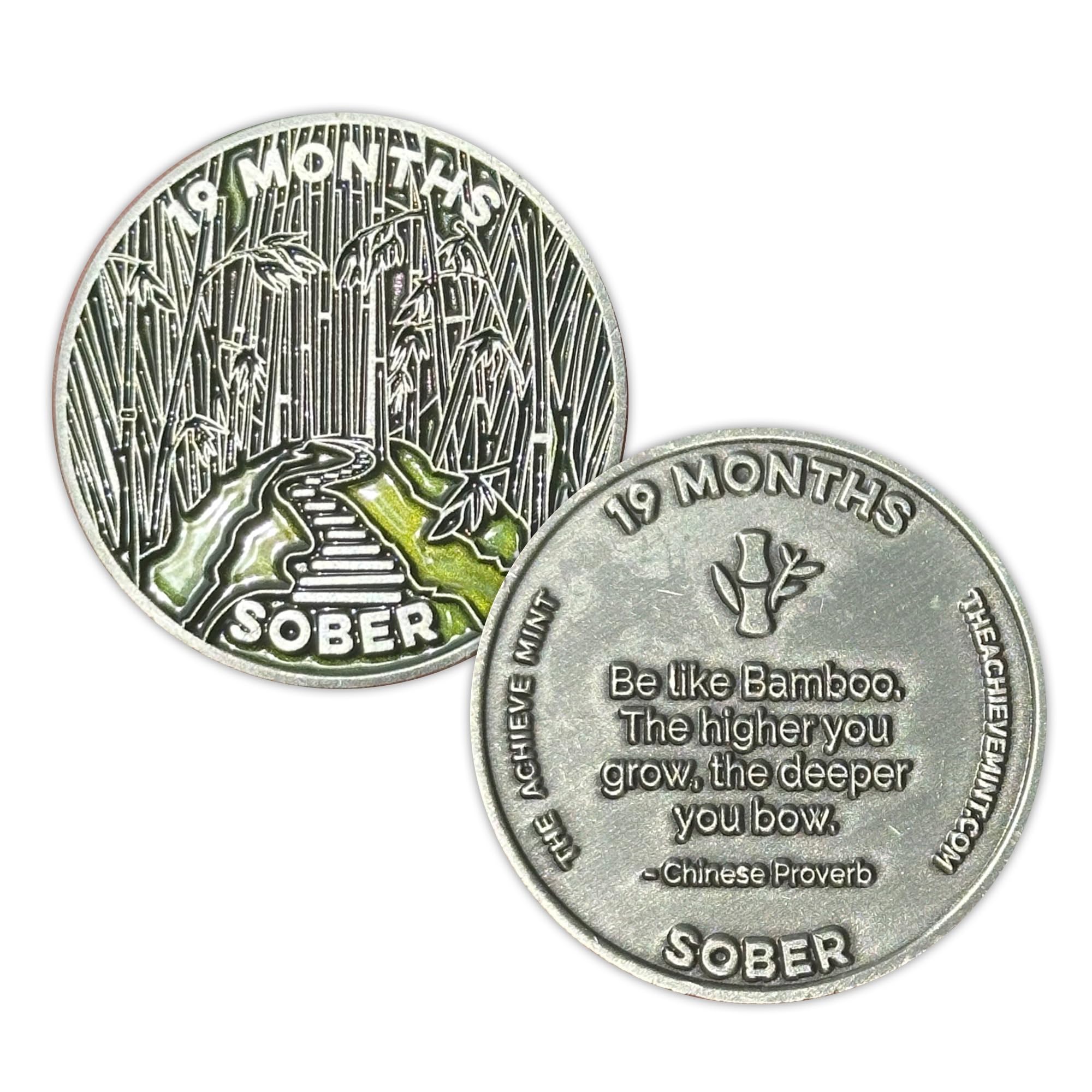 The Achieve Mint 19 Months Sober Token | 19 Months Sobriety Chip | Non-AA, Non-Religious Medallion for Men and Women Celebrating Sobriety