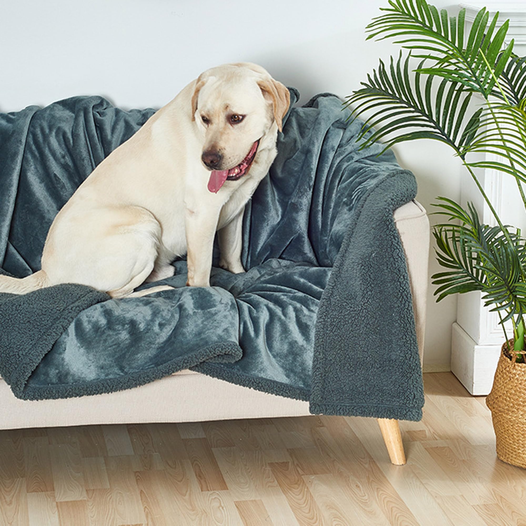 Manta grande para mascotas, paquete de 2 mantas para perros, manta lavable para gatos, impermeable, manta calmante para perros y gatos, manta versátil para perros y gatos, manta versátil para