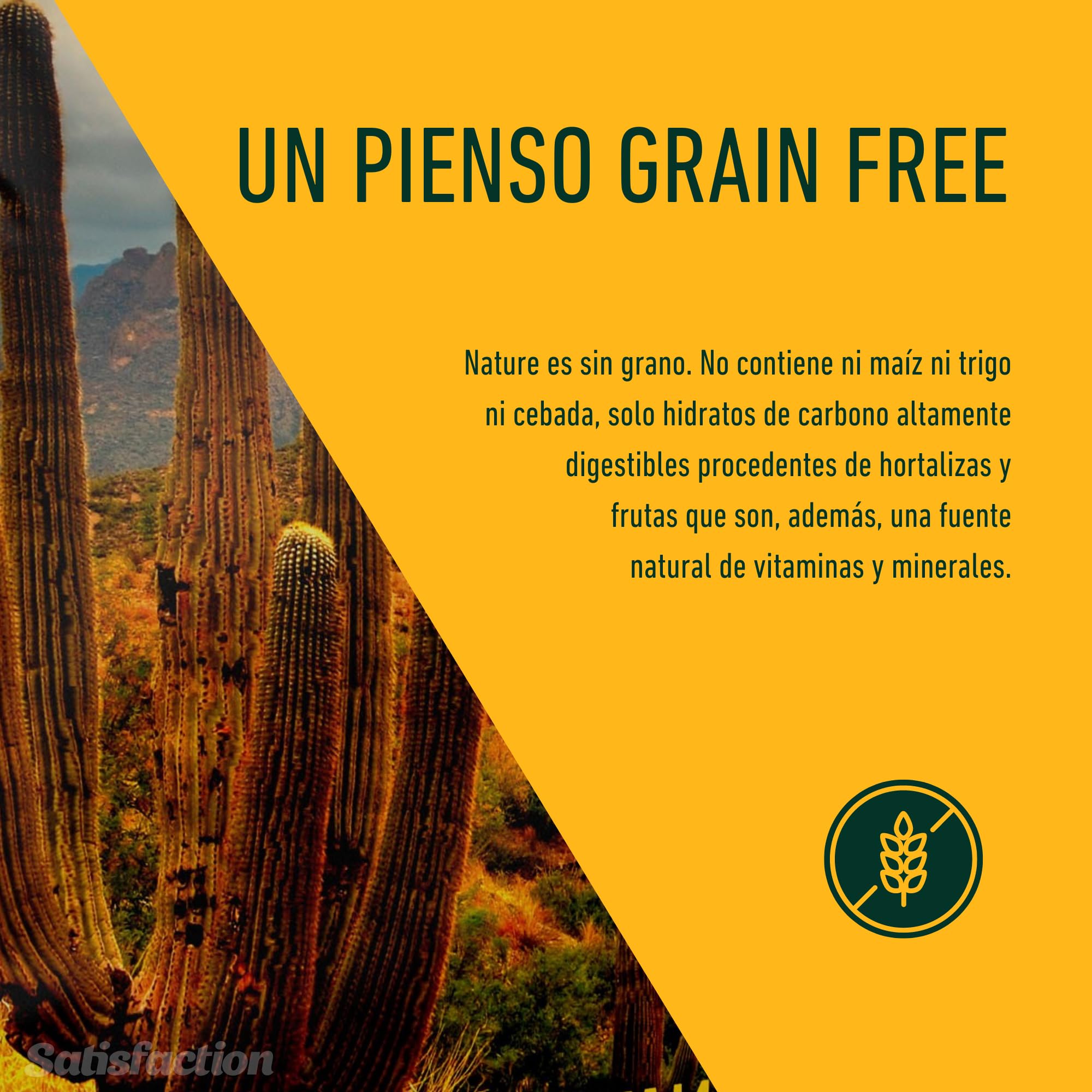 Pienso Satisfaction Nature de salmón para Perros 12 KG - Pienso Hipoalergénico - Monoproteico - Grain Free (Sin Cereales) - Salmón Fresco y Patata - Perros delicados