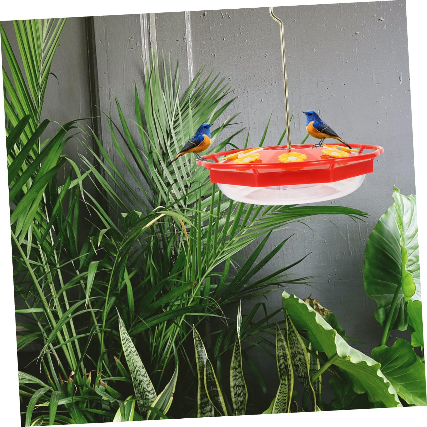 Yardwe 5 Pz Mangiatoia Per Uccelli Rintocchi Colibrì Vassoio Di Servizio Decorativo Distributore Stazione Di Alimentazione Degli Uccelli Contenitore Per L'acqua Fontana Plastica Rosso