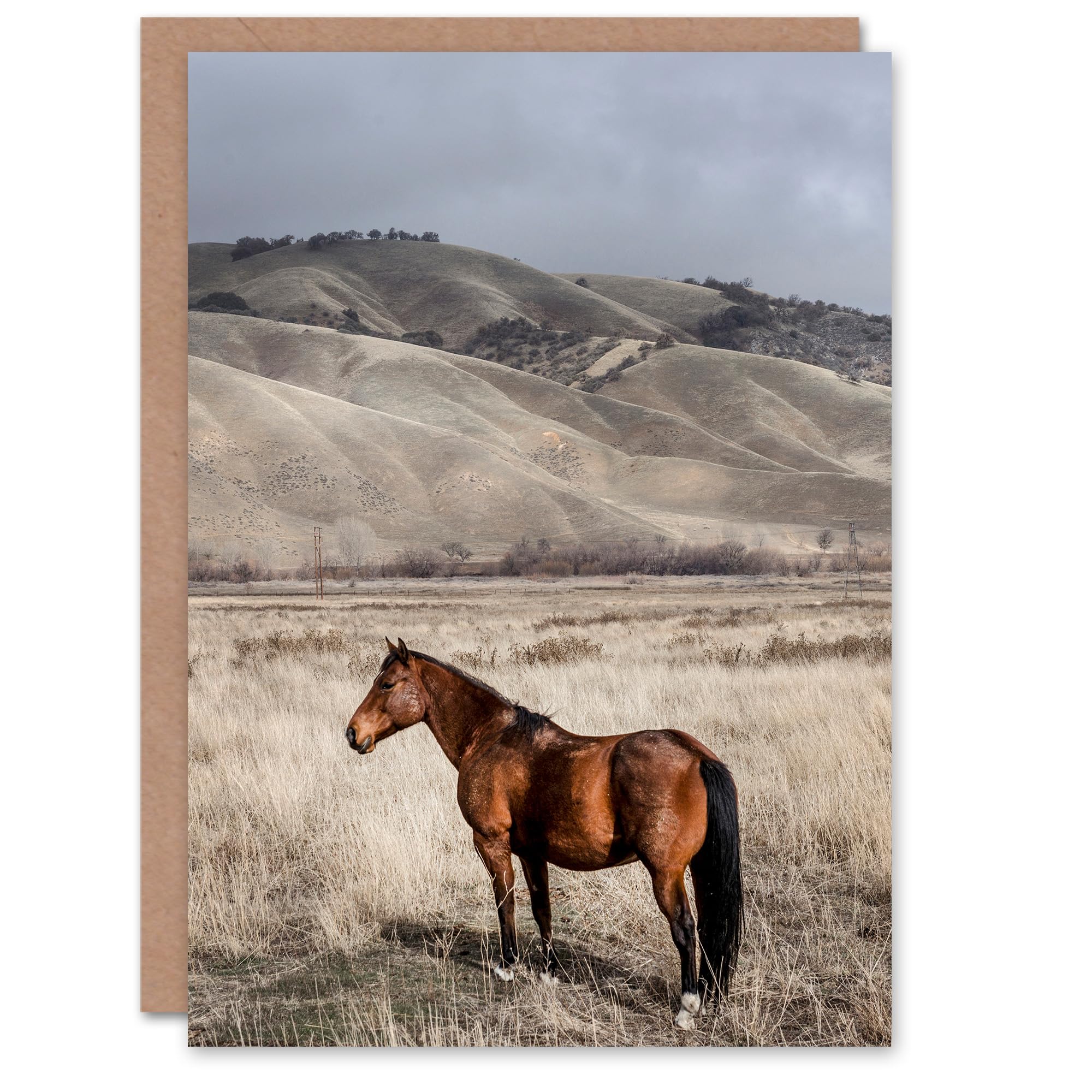 Artery8 Carol M Highsmith Art Card Lone Horse in a Ranch Photograph