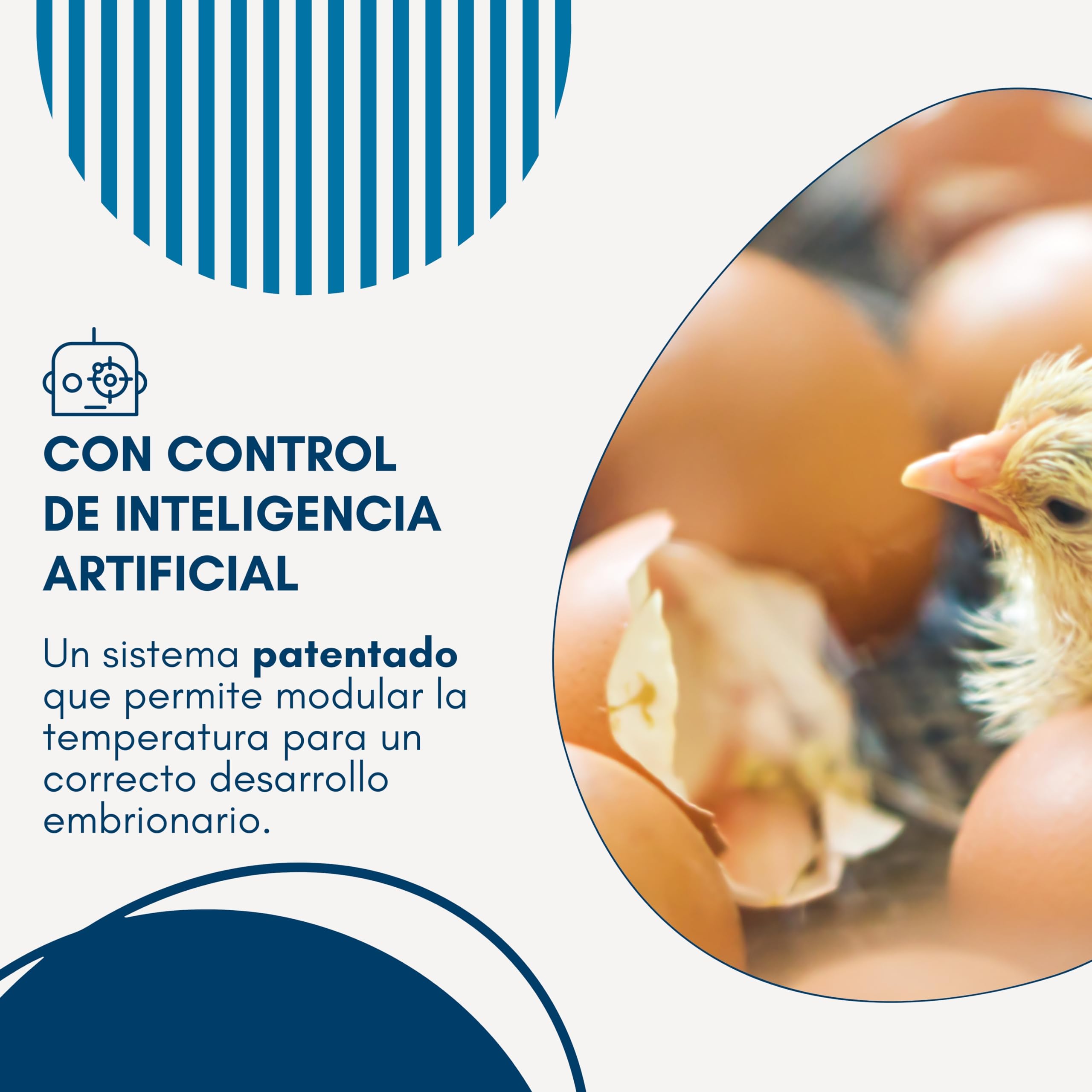 Borotto Real 24 | Incubadora de Huevos Automática Profesional Patentada para 24 Huevos o 96 Pequeños con Volteador de Huevos Automático y Control de Temperatura | Made in Italy