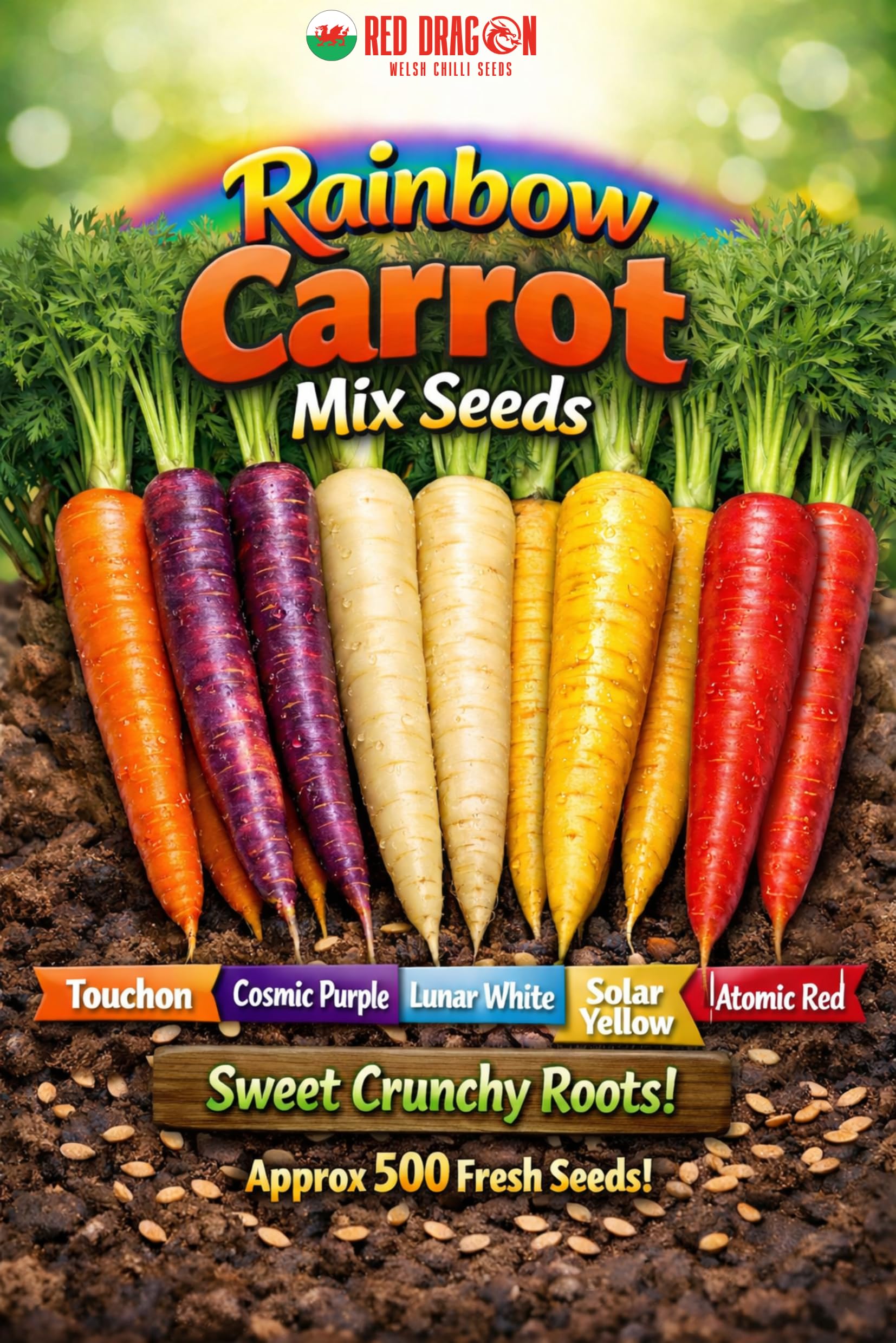 Carrot Rainbow Mix Seeds | Five Colour Carrot Varieties | Purple, White, Yellow, Red & Orange | Sweet Crunchy Roots - 500 Fresh Seeds - 1