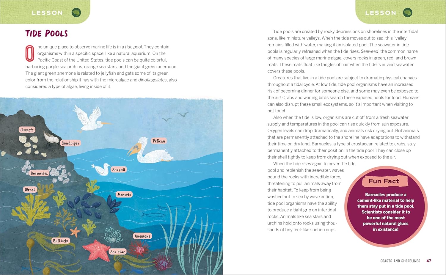 Ocean Activities for Kids: 20 Hands-On Projects to Explore the Sea (Science Scouts) - Image 5