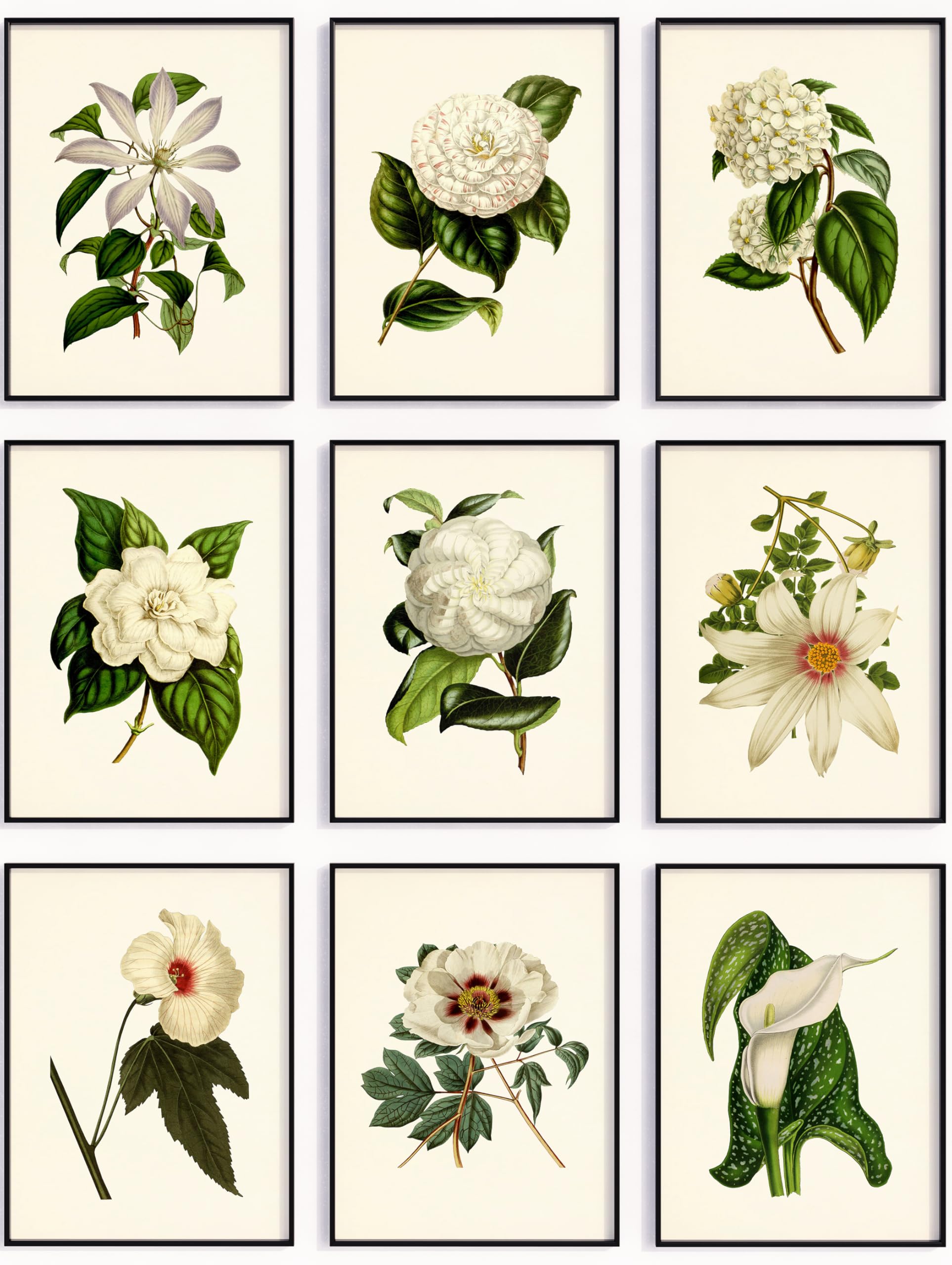 White Flower Botanical Print Set