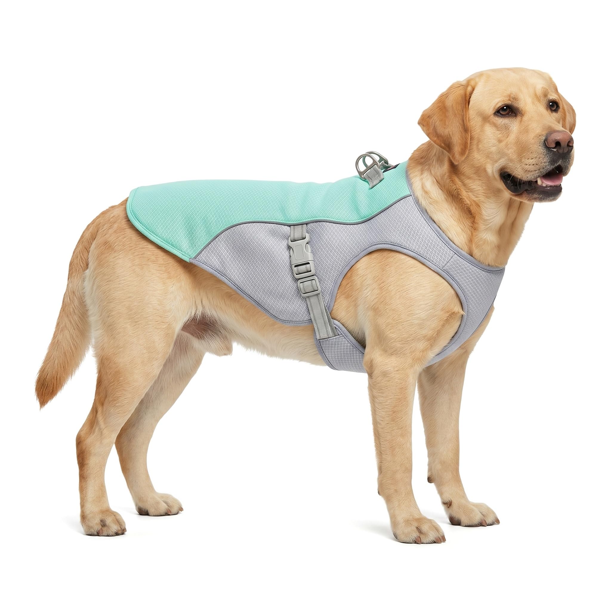 Hund Kühlweste, Kühlweste für Große Hunde, Sonnenschutz Hund Kühlmantel, Atmungsaktiv und UV-Schutz, mit Leinenring, für Outdoor Aktivitäte, Blau (2XL)
