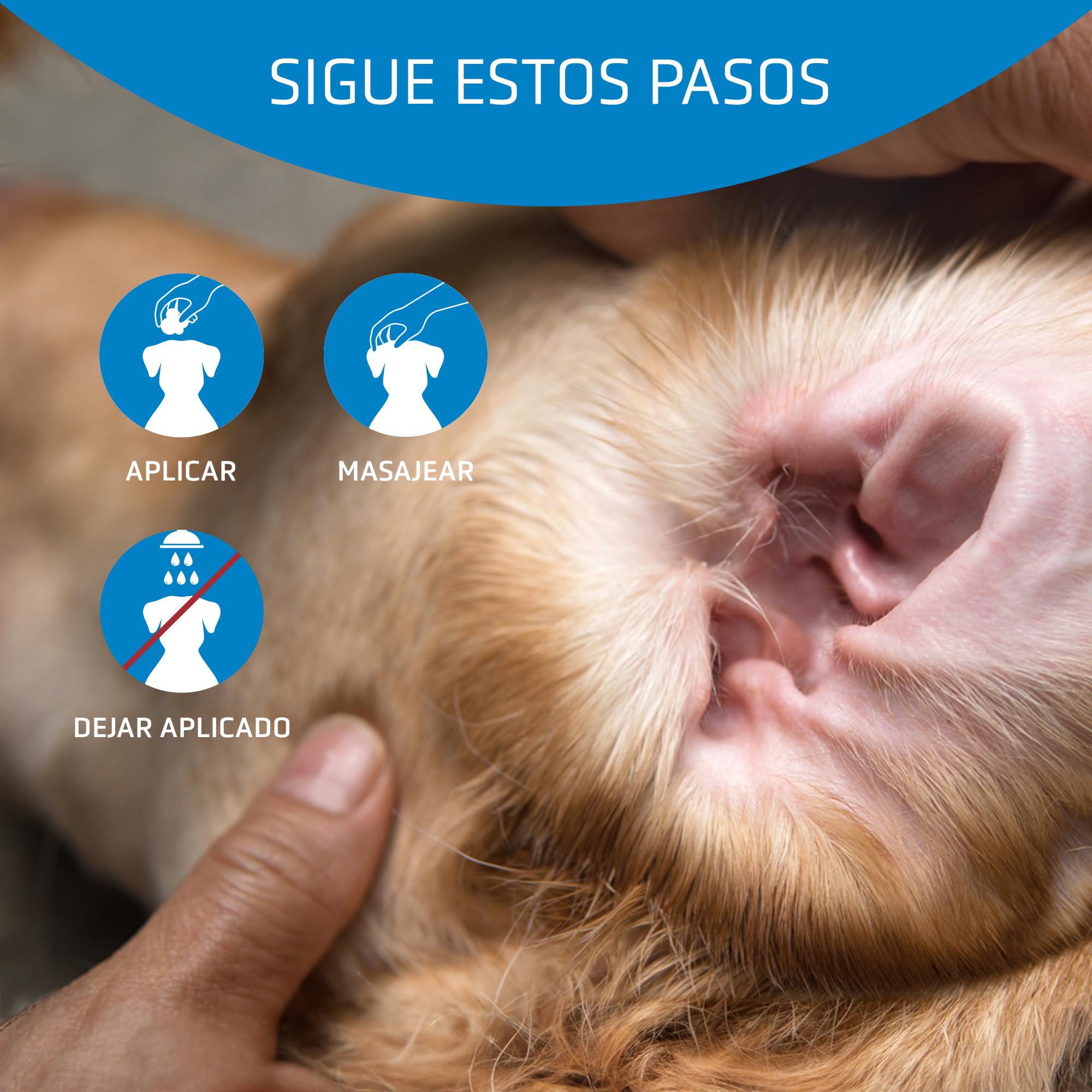 Artero Auriclean. Polvos Antisépticos Para Depilar los Oídos de perros. Seca los pelitos del conducto auditivo en perros para poder depilarlos sin dolor y eliminar el mal olor.