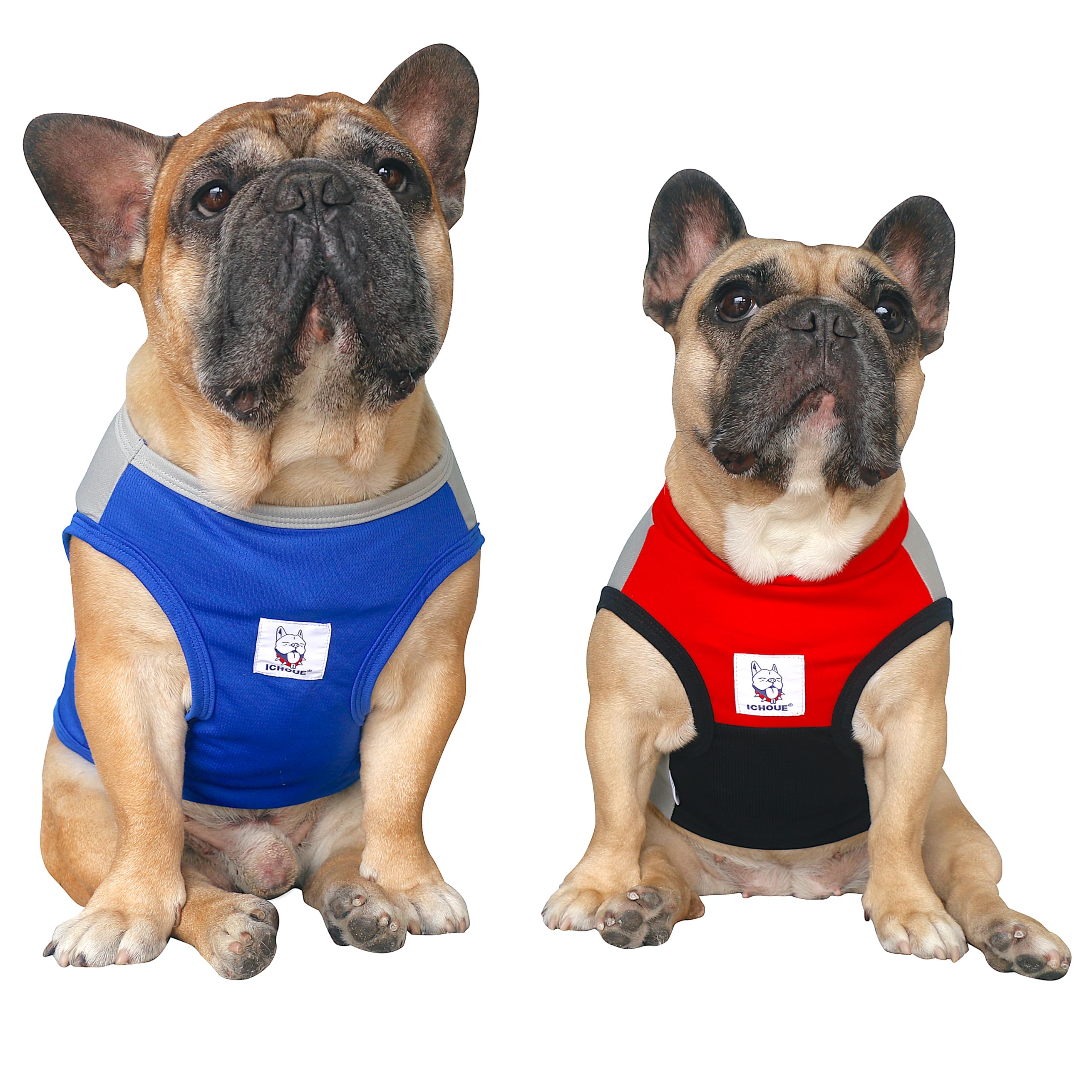 Chemise rafraîchissante pour chien anti-UV lot de 2 gilets gris et bleu taille M