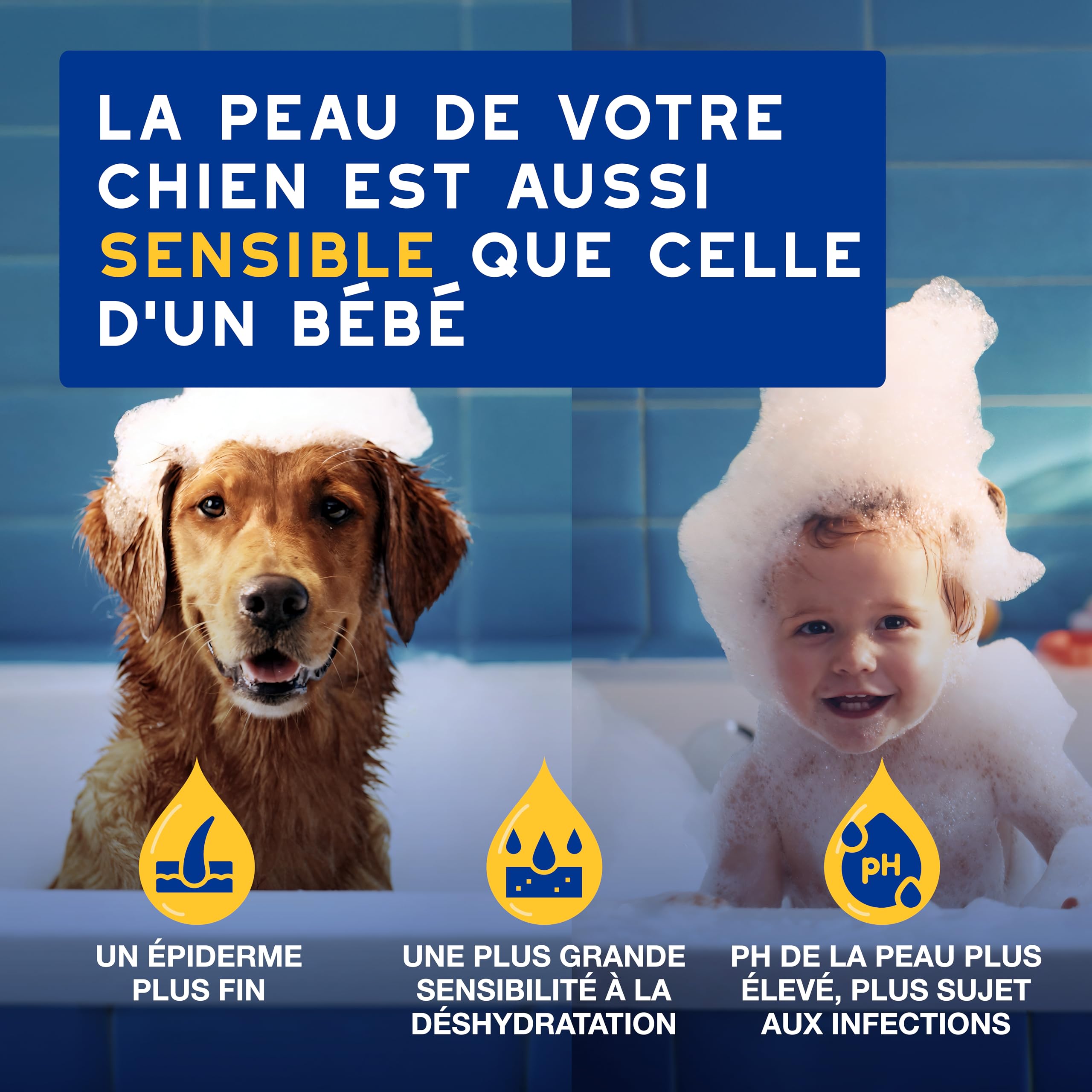 DOUXO Skin & Coat Spa - Ultra-Safe Shampoing hydratant pour Chien, 250mL, Nettoie et Hydrate la Peau Profondeur, Laisse Le Pelage Doux et éclatant, Formule respectueuse de la Peau.