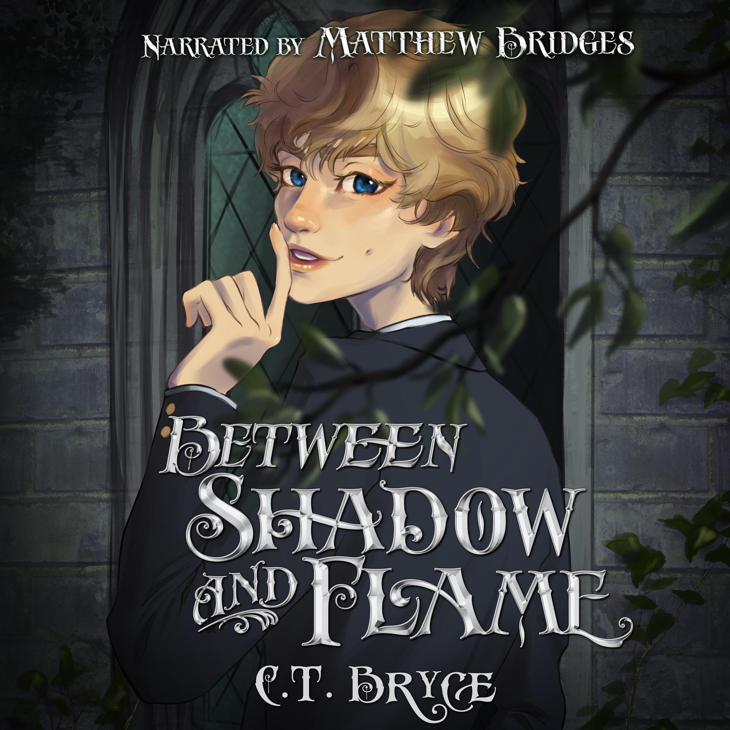 Cover art for Between Shadow and Flame