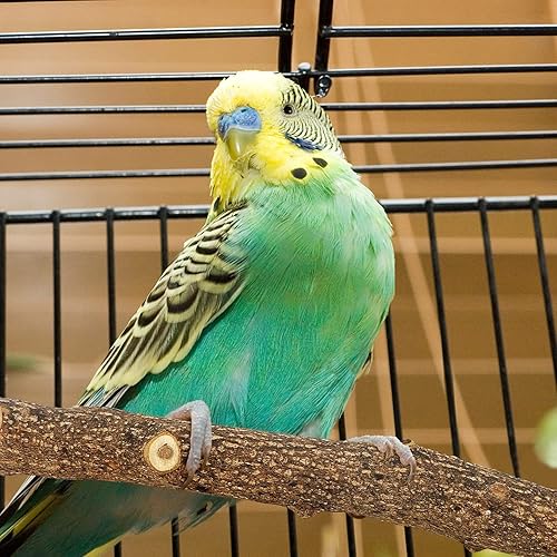 Miniatura 2 de 5 piezas de perca para pájaros para jaula de pájaros, juego de juguetes de madera natural, soporte de loro rama con plataforma redonda, palo de