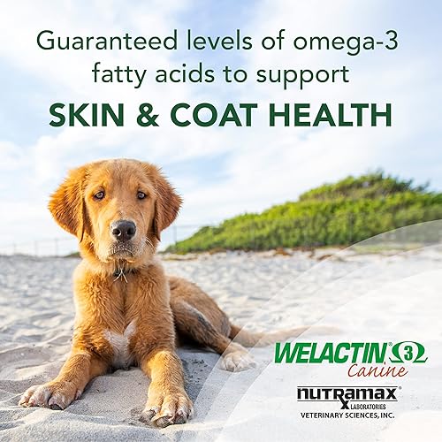 Miniatura 3 de Nutramax Welactin Omega-3 - Suplemento líquido para la salud de la piel y el pelaje para perros, paquete de 3, 360 cápsulas blandas en total