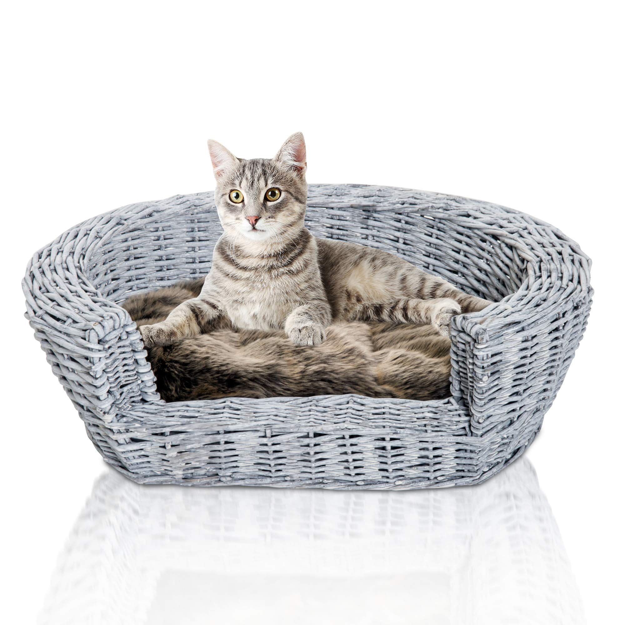 willow cat bed