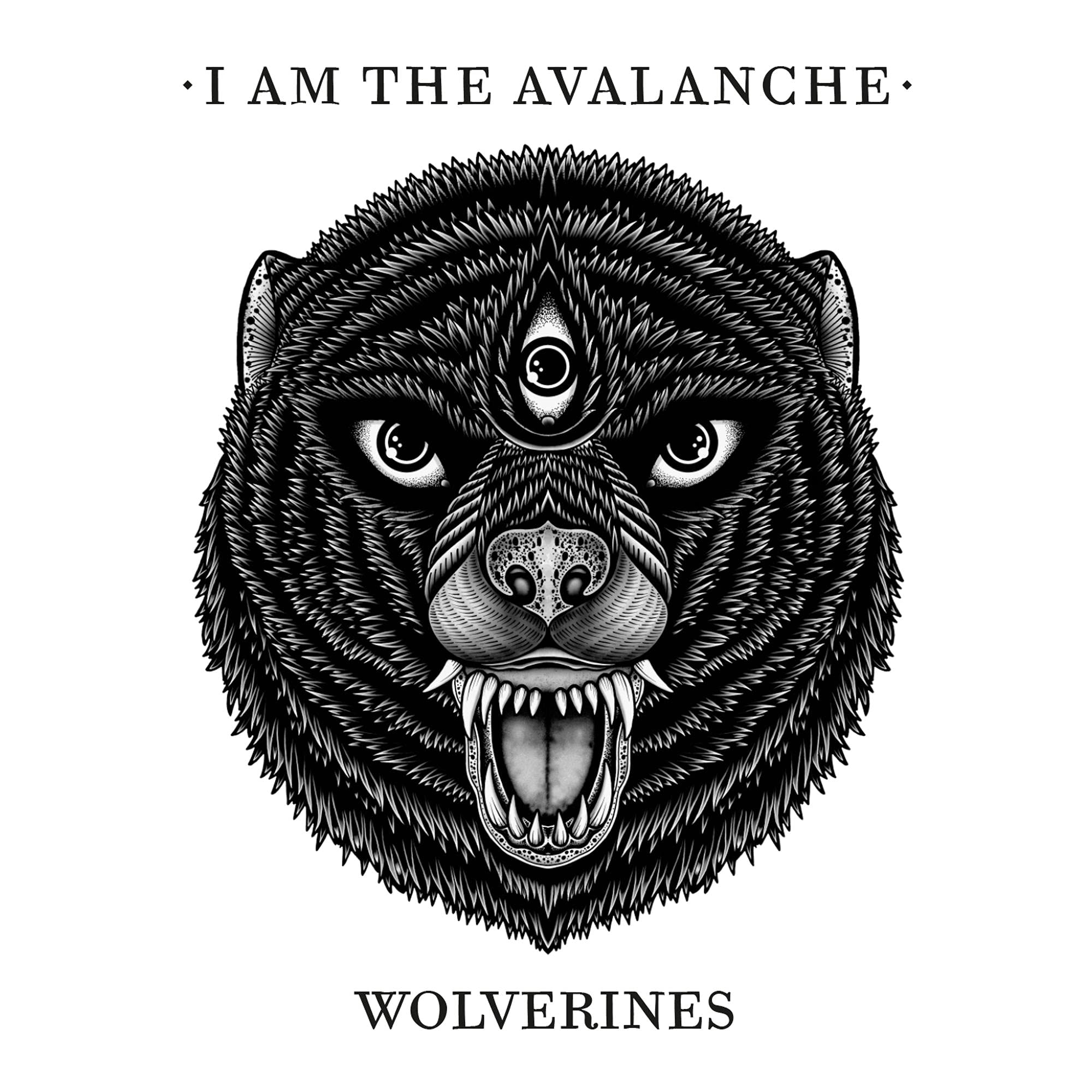 Wolverines [Audio CD] I Am the Avalanche