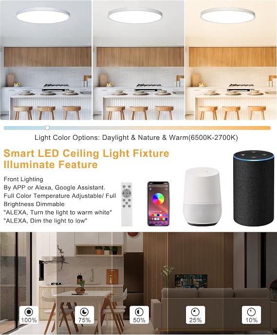 Ceiling Light LED Dimmable Flush Mount Flat RGB Smart Alexa Google Home WiFi with Remote Control for Living Room Bedroom Dinning Kitchen Hallway Bathroom 12Inch 24W White [Energy Class A]