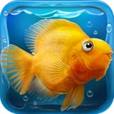 iQuarium