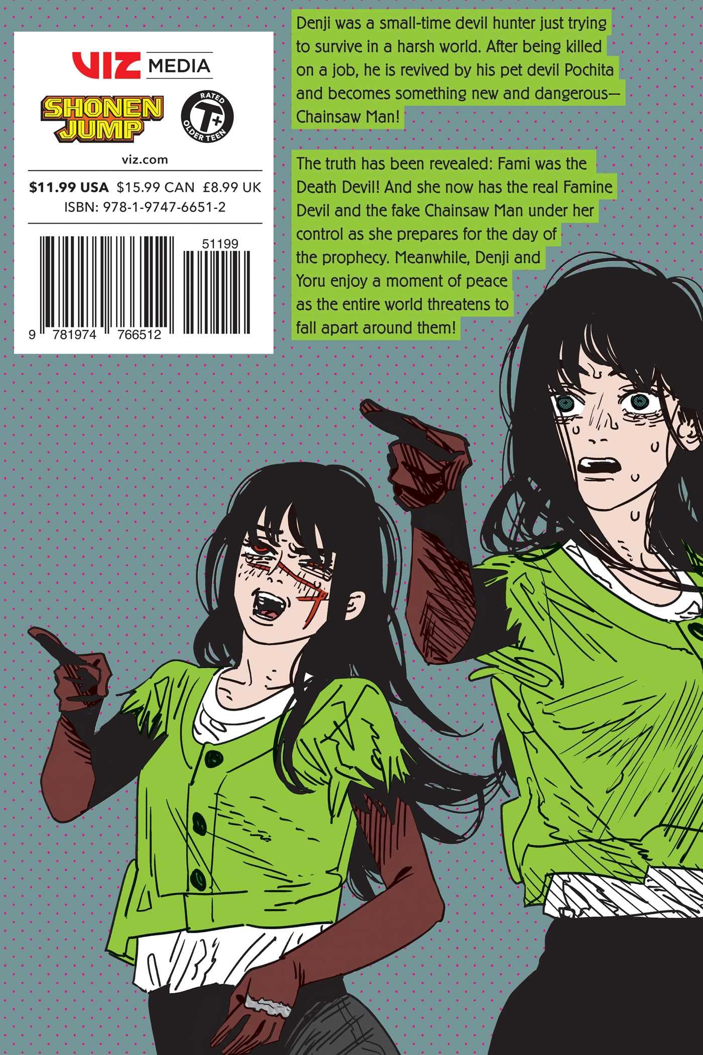 Chainsaw Man, Vol. 22