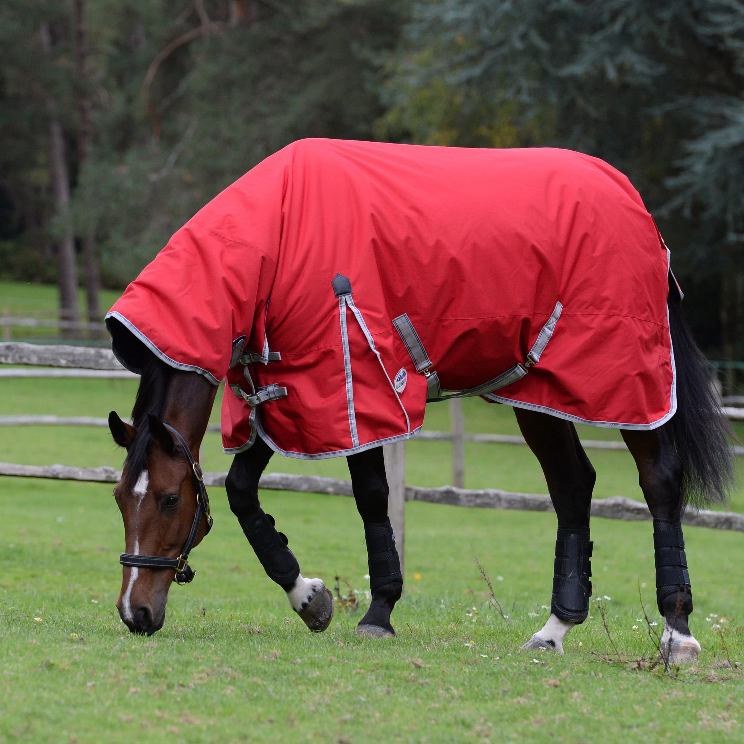 Weatherbeeta, Comfitec Essential, Combinazione di coperta e collare, pesante, Navy/Silver/Red