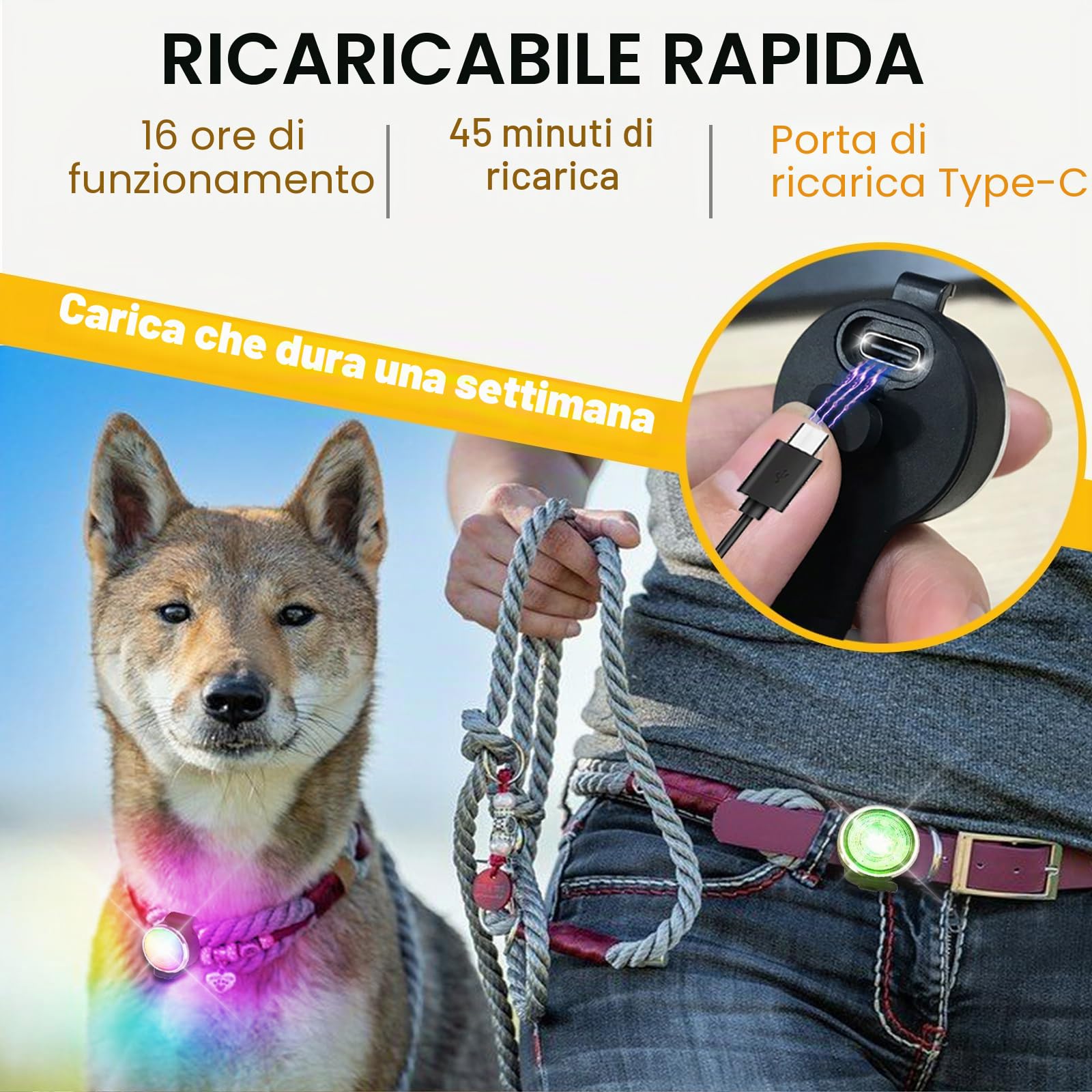 Tubasion Confezione da 2 luci per cani per passeggiate notturne, 8 modalità di luci ricaricabili migliorate per collare per cani per clip notturna, IPX6 impermeabile e luci di sicurezza a banda di