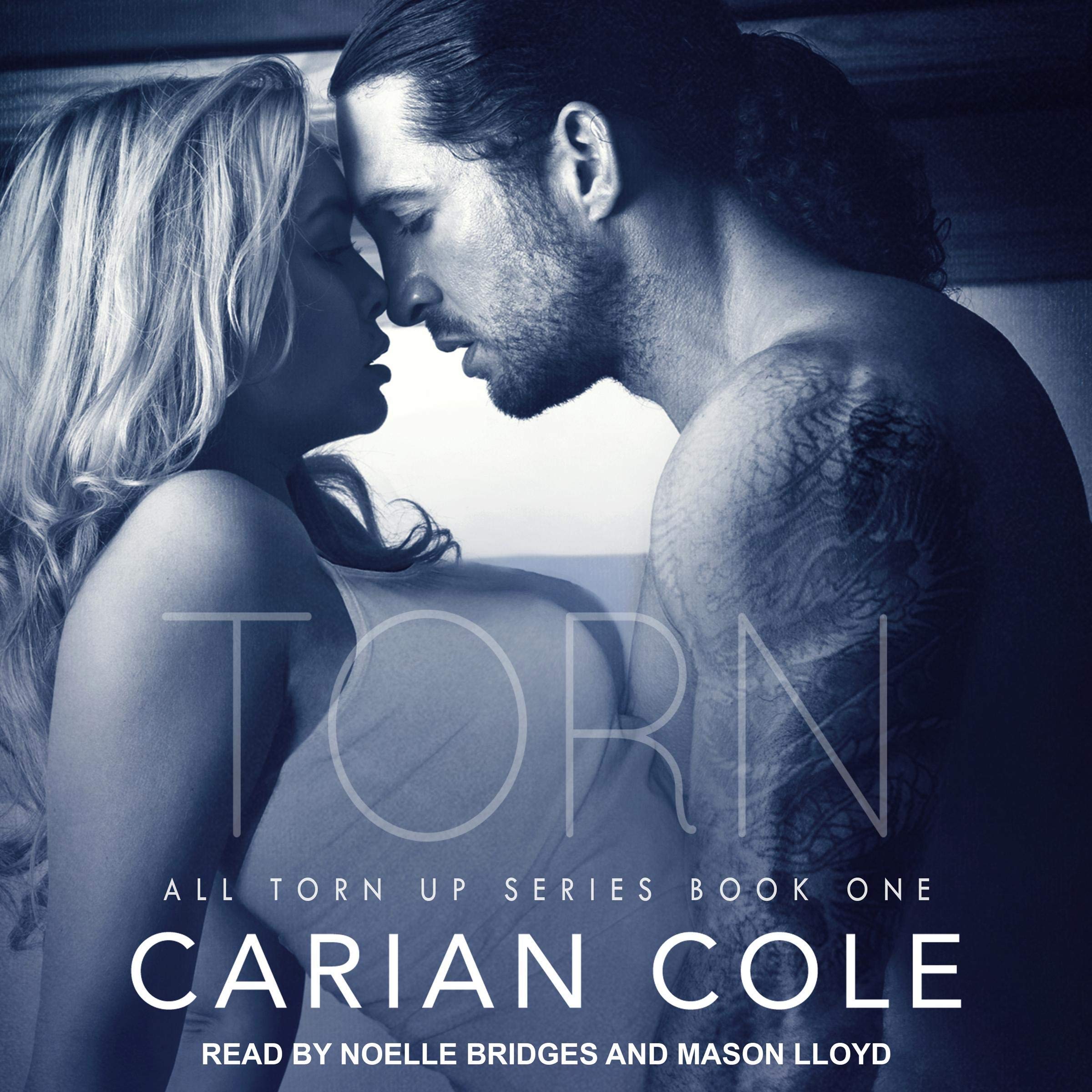 Cover art for Torn
