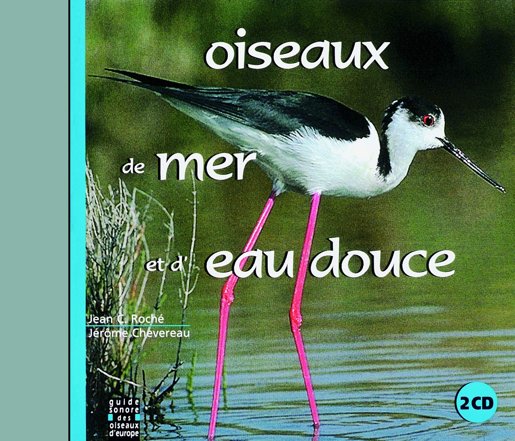 Sounds of Nature: Birds of the Sea and Freshwater