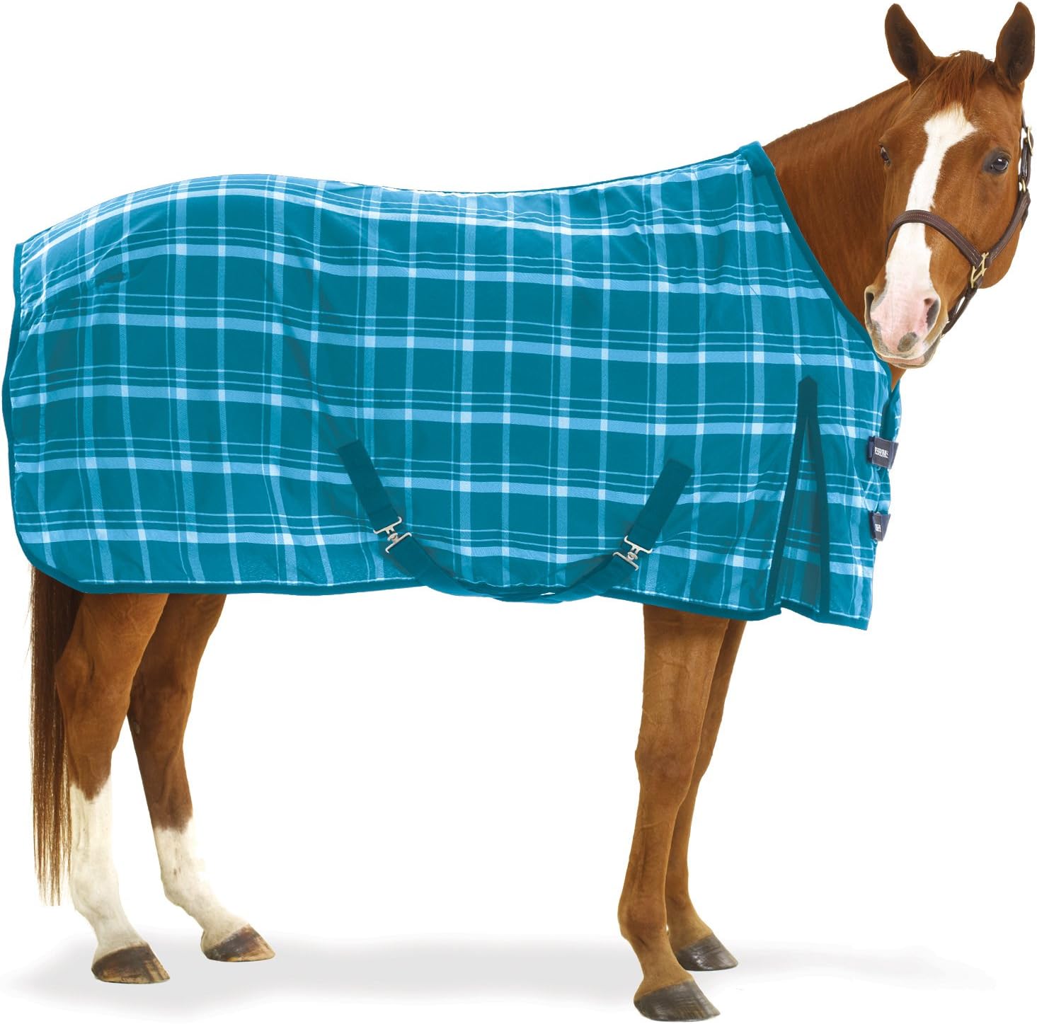EQ EZ-Care Stable Sheet Plaid 81 Turquoise Plaid