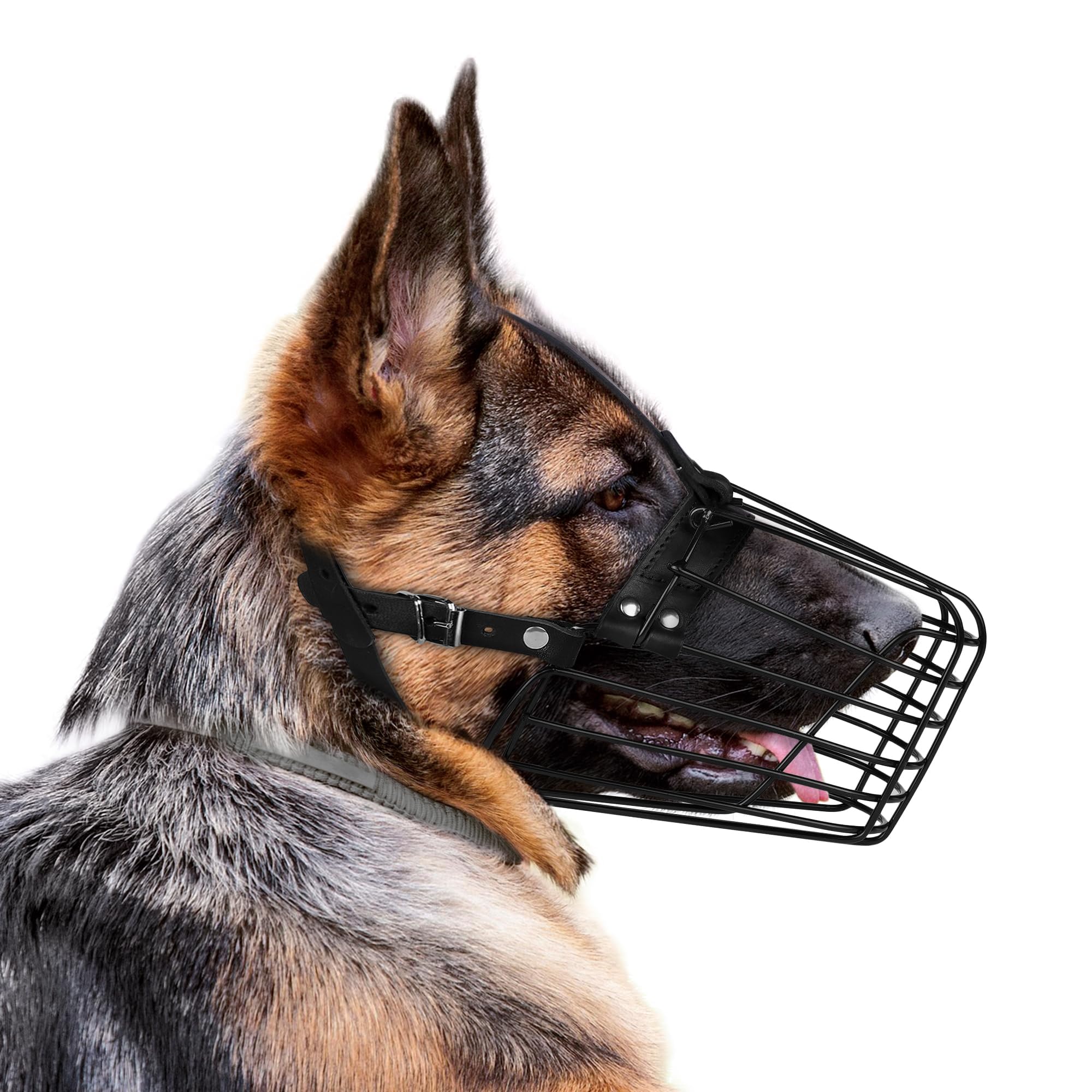 Bozal de metal para perros medianos y grandes, ajustable con correa de piel, bozal de entrenamiento y seguridad