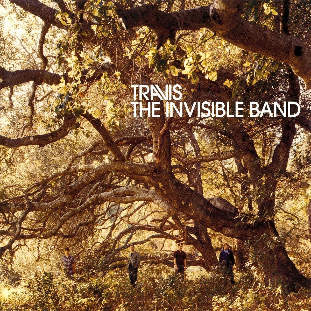The Invisible Band (Ltd. Box)
