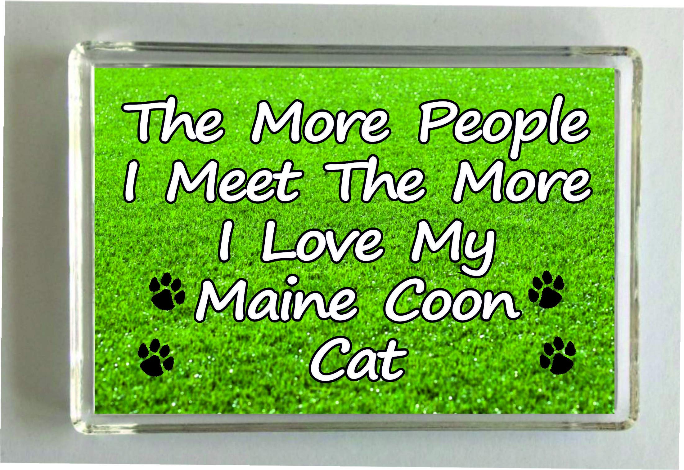 Decalarama Maine Coon Cat Fridge Magnet - Novelty Gift – The More People I Meet - Pet Lover Present Magnet Size 12
