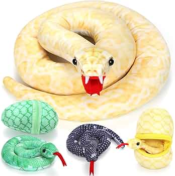 81aW0tbzjtL._AC_UF350,