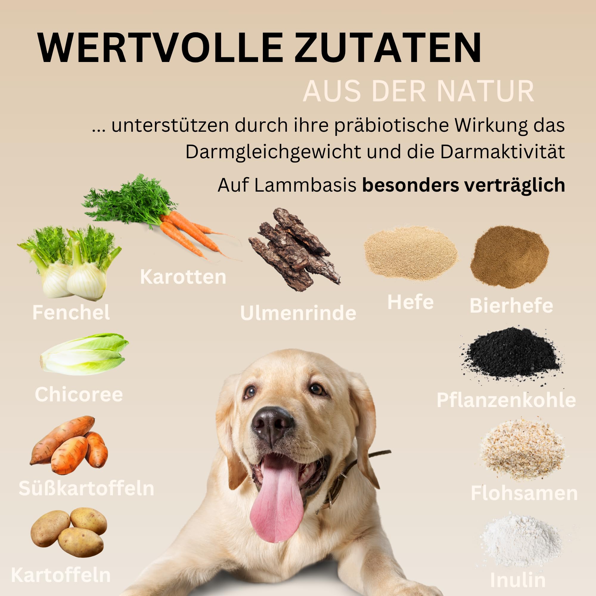 Verdauungs-Drops für Hunde mit Ulmenrinde I Für Normale Verdauung & Kotbeschaffenheit I Unterstützt Darmflora I I Mit Präbiotika & natürlich I ca. 120 STK.