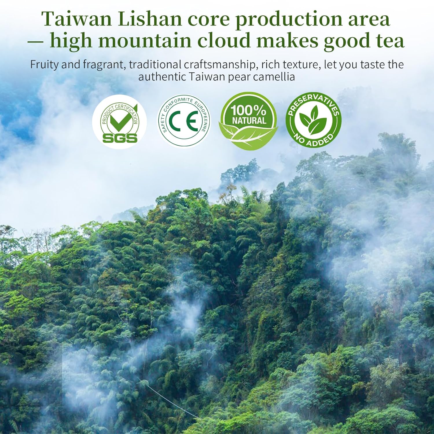 XIXICHA Lishan Oolong Tea Taiwan High Mountain Oolong Tea Loose Leaf Taiwan Lishan Tea Taiwaness Gaoshan Ulong Tea Formosa 梨山茶 梨山高冷茶 台湾茶 台湾高山茶 乌龙茶 5.3oz/150g