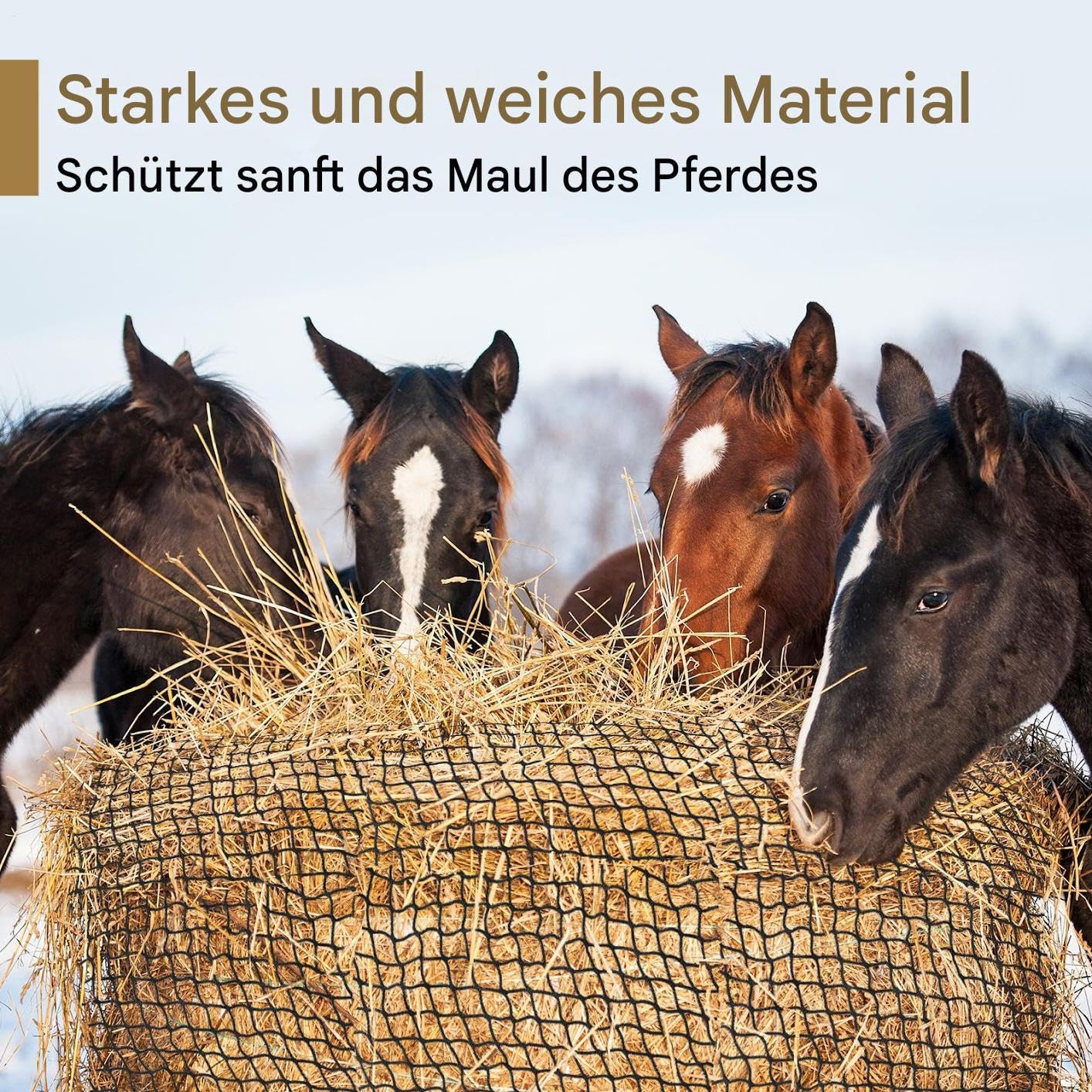 Generisch Red de heno para heno en establo, 150 × 150 cm, sin nudos, red de freno de alimentación estrecha para caballos, ganado y ovejas, red de forro de polietileno estable con goma elástica y
