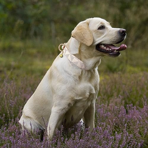 Miniatura 2 de KUDES - Collar de cuero para perro y correa de 4 pies, collar básico ajustable con correa de cuero campana, collar y correa de cuero duradero con