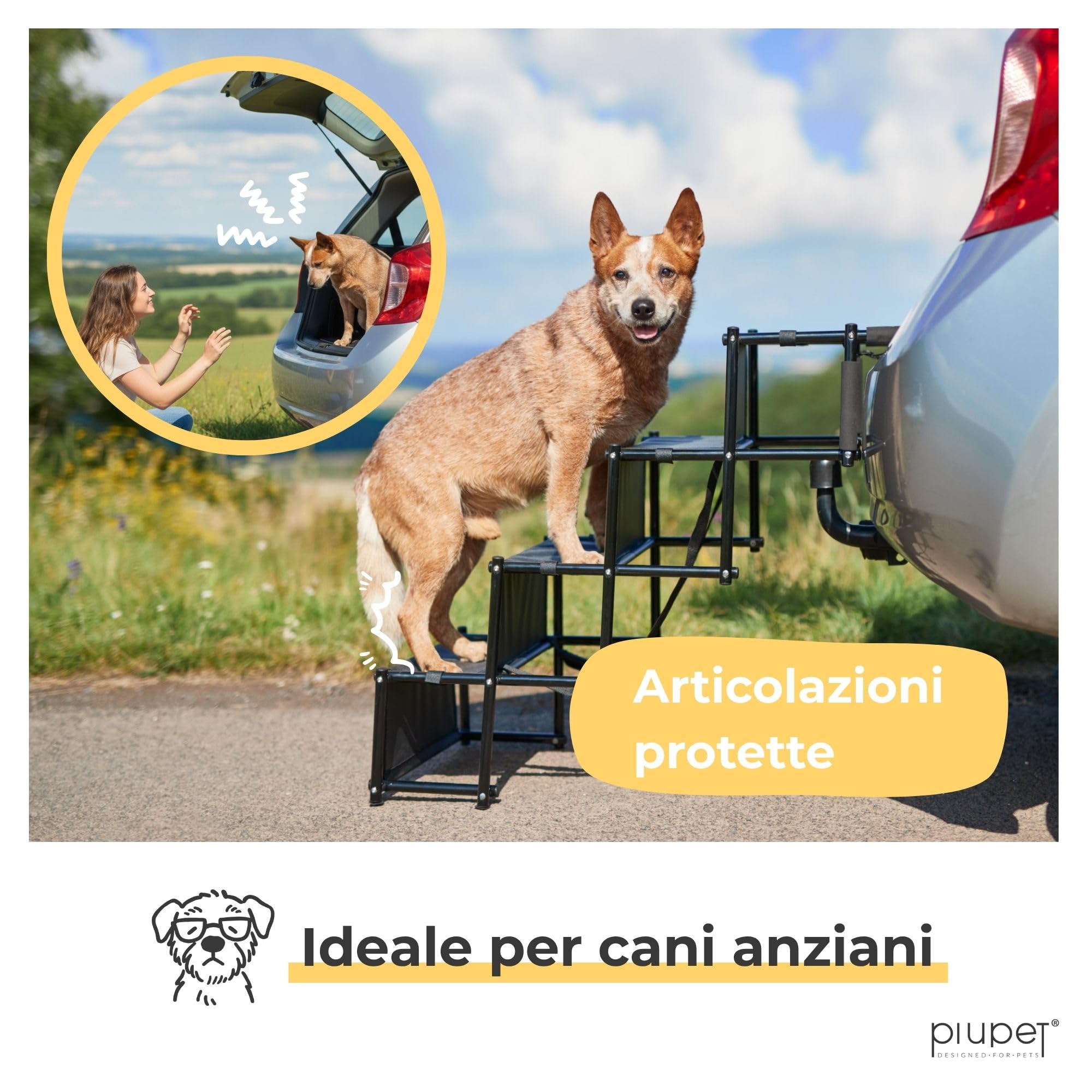 PiuPet® Rampa per Cani I Fino a 80 kg I Utilizzabile per Tutti i Veicoli I Grandi e Piccoli Cani I Pieghevole I Rampe per Auto | Rampe di Carico