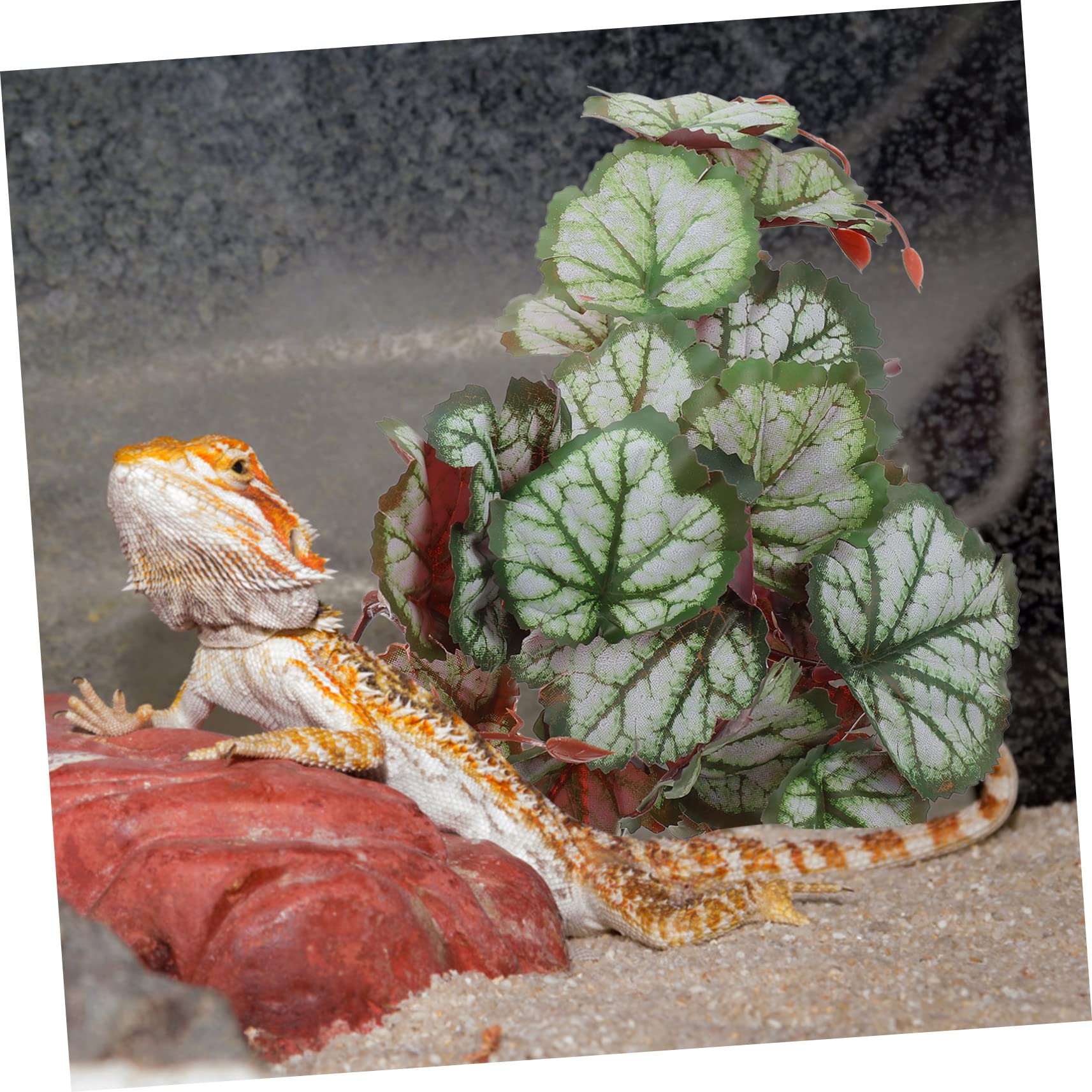 FRCOLOR 5stücke Künstliche Wasserpflanze Für Terrarium Und Aquarium Dekorative Pflanzen Für Reptilien Lebendige Farben Langlebig Und Stabil Für Natürliche Umgebung Pflegeleicht
