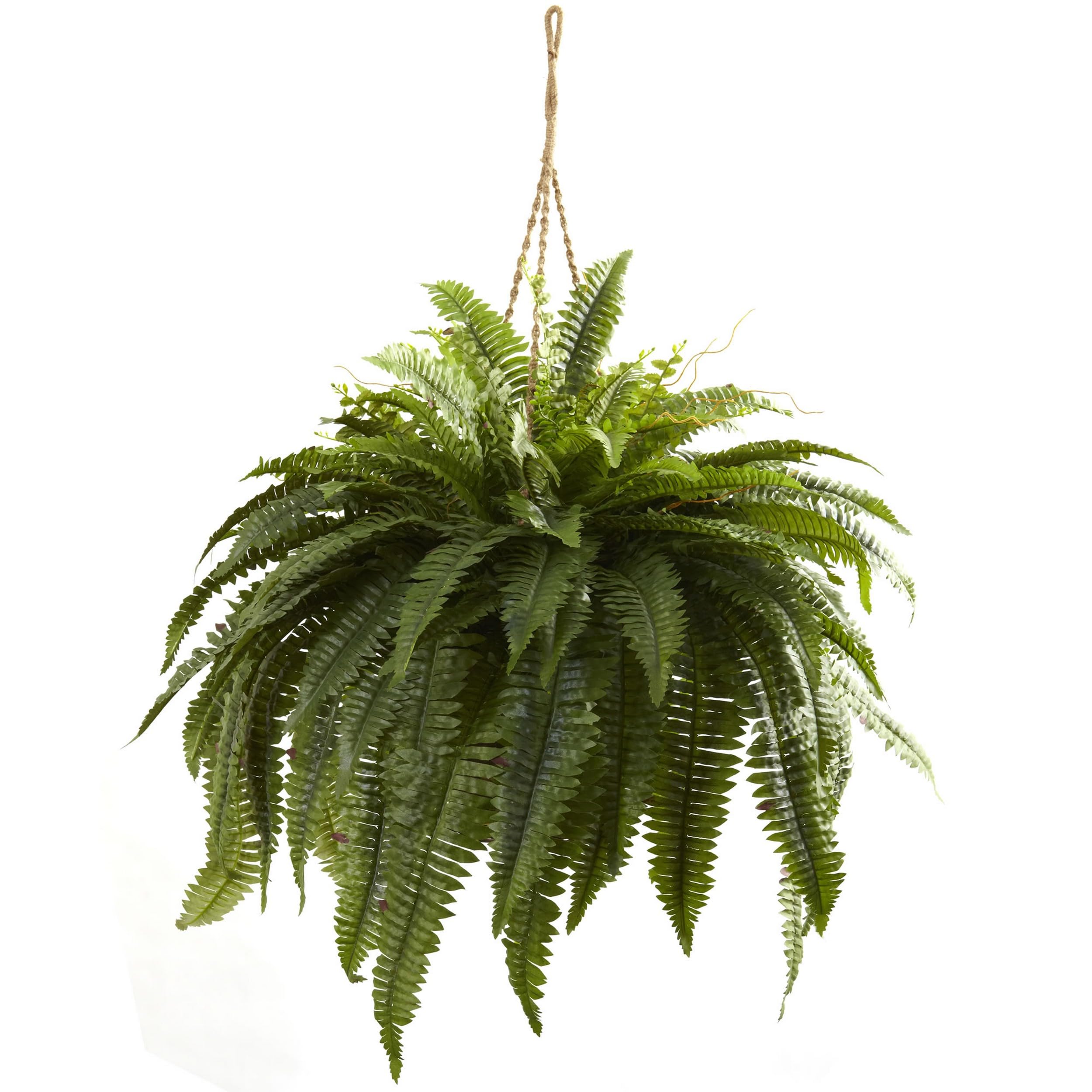 6788 Double Giant Boston Fern Hanging Basket,Green
