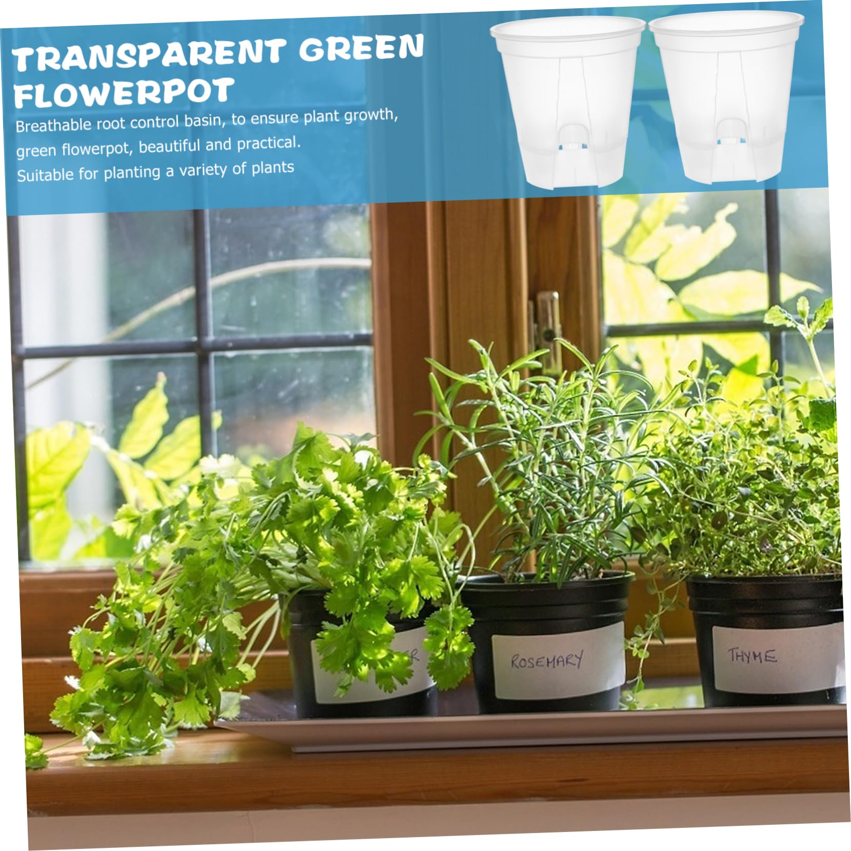 BESPORTBLE 6 Pièces Bassin De Montagne Vert Transparent Jardinières Auto-drainantes D'intérieur Pots De Pépinière Pot De Fleur Transparent Citrouille Pots De Fleurs avec Drainage Pot Clair PP