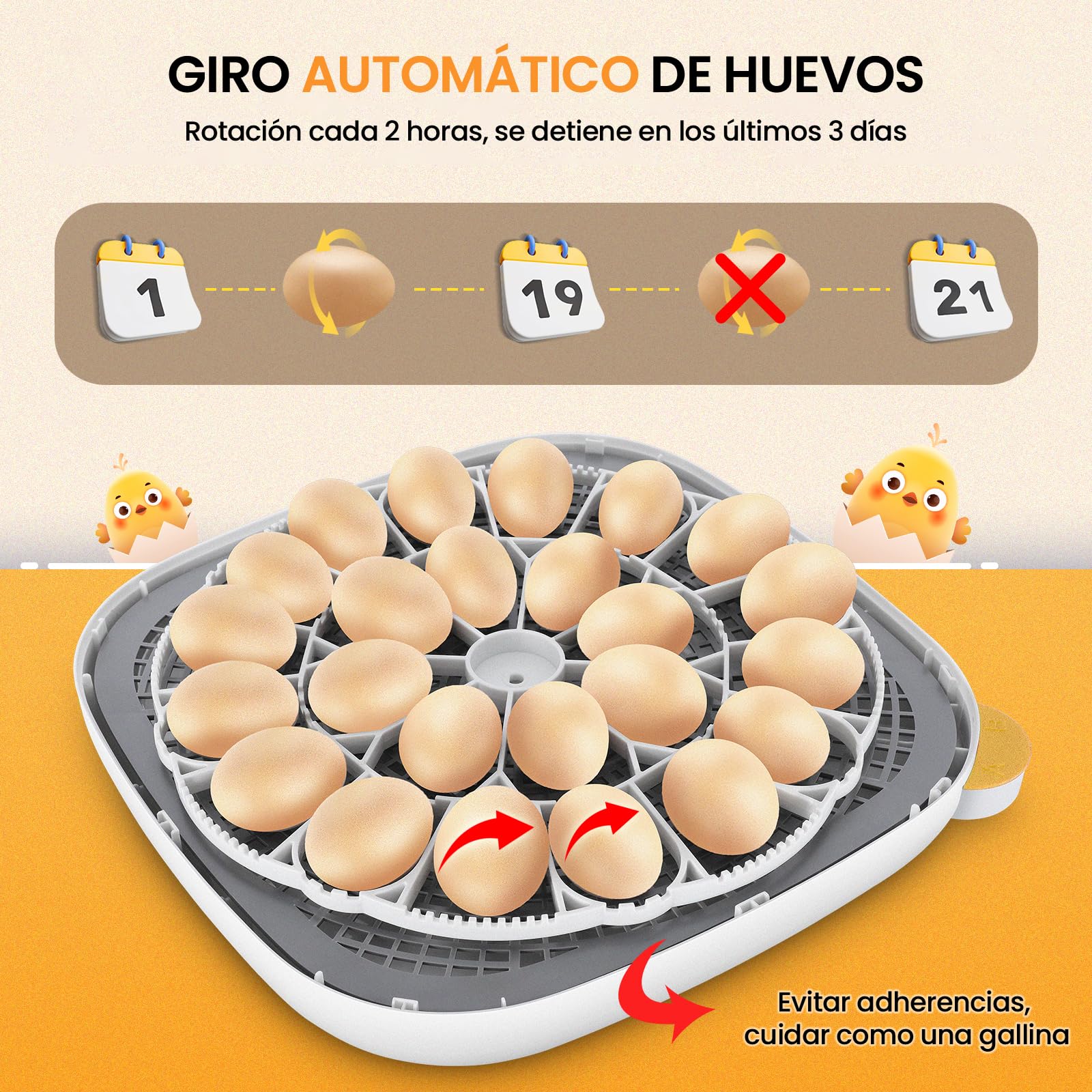 Sailnovo Incubadora para 24 Huevos con 4 Modos, Incubadora de Huevos con Volteo Automático y Monitor de Humedad, Lámpara de Huevo, Incubadora Huevos Gallina Vista 360° Ventana Transparente, Gris