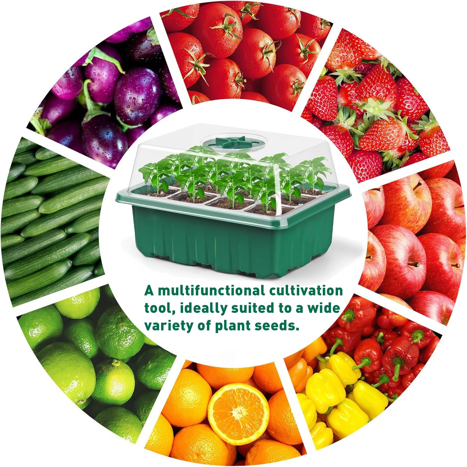 Seed Trays - 10 Pack 120 Cells Propagator Growing Thicken Seedling Starter Growing Trays with Clear Lids, Tools & Labels for Greenhouse & Gardens(10 Set) — view 8