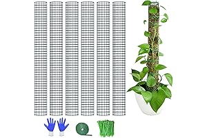 Stackable Moss Pole: Support Your Climbing Plants Effortlessly
