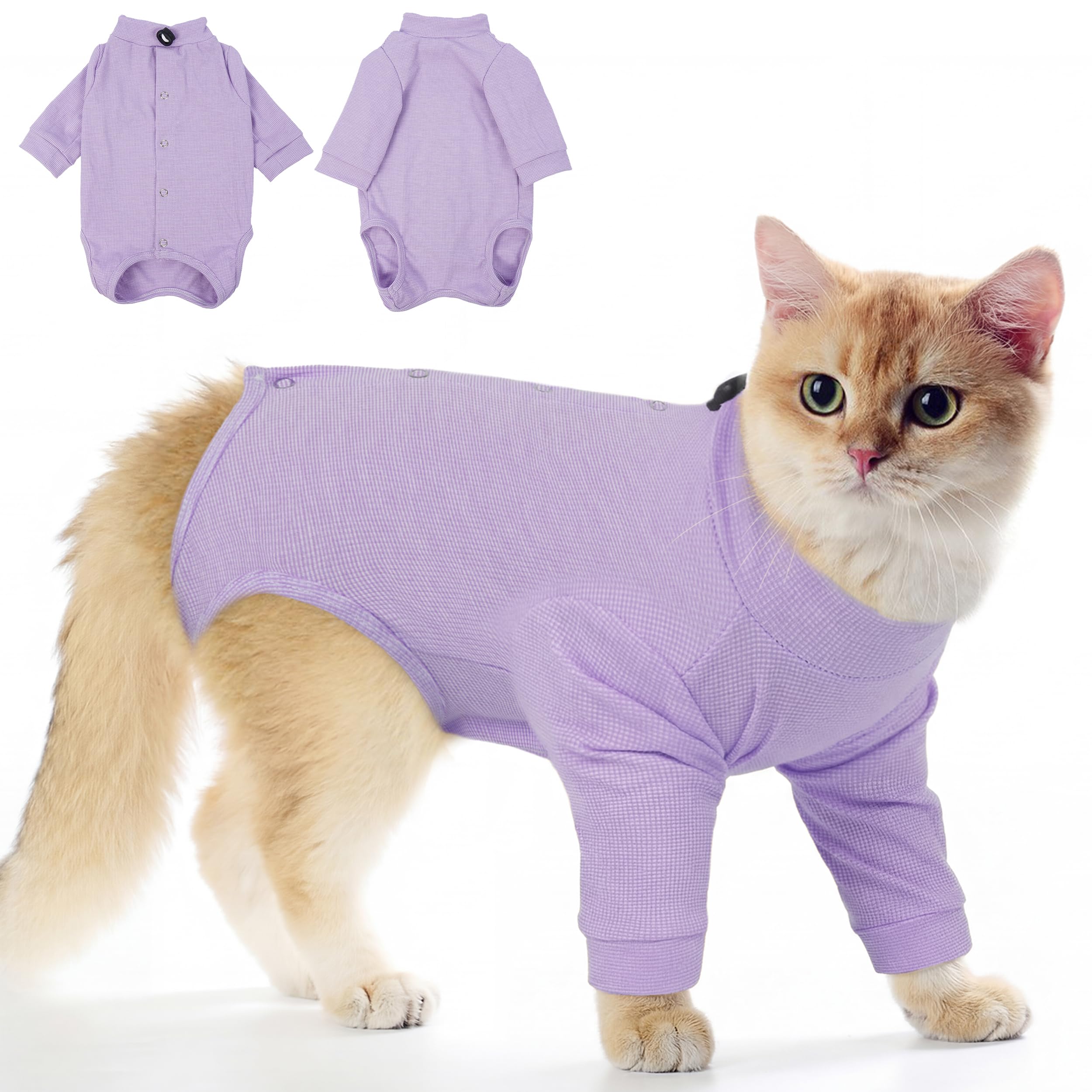 Combinaison pour chat post-opératoire violette L protégeant les plaies