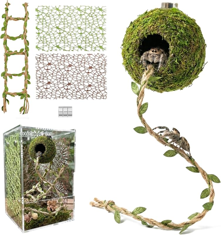 Kit de Decoração para Aranha Saltadora com Esconderijo de Musgo Magnético Funtinshdy FTSD-JPS-Hide