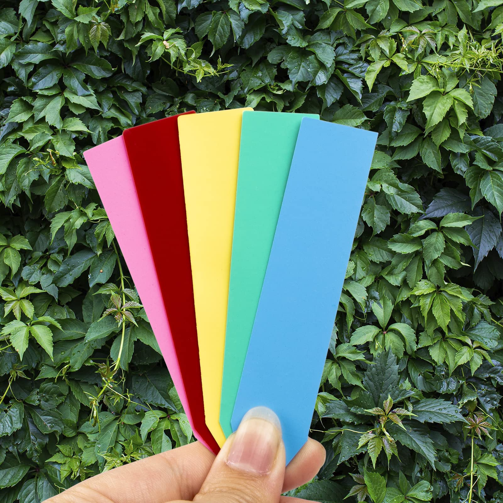 Snapklik.com : 200 Pcs Plant Labels