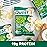 Quest Nutrition Sour Cream & Onion Protein Chips, 19g Protein, 4g Net Carbs, Low Carb, Gluten Free, 1.1 oz (Pack of 12)